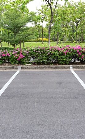 ein markierter Parkplatz an einem Park